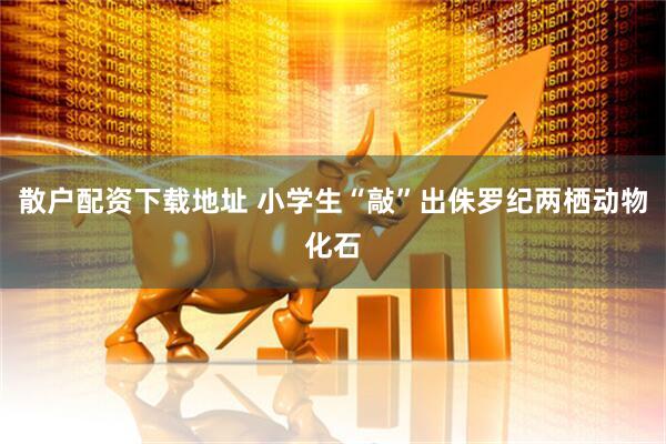 散户配资下载地址 小学生“敲”出侏罗纪两栖动物化石